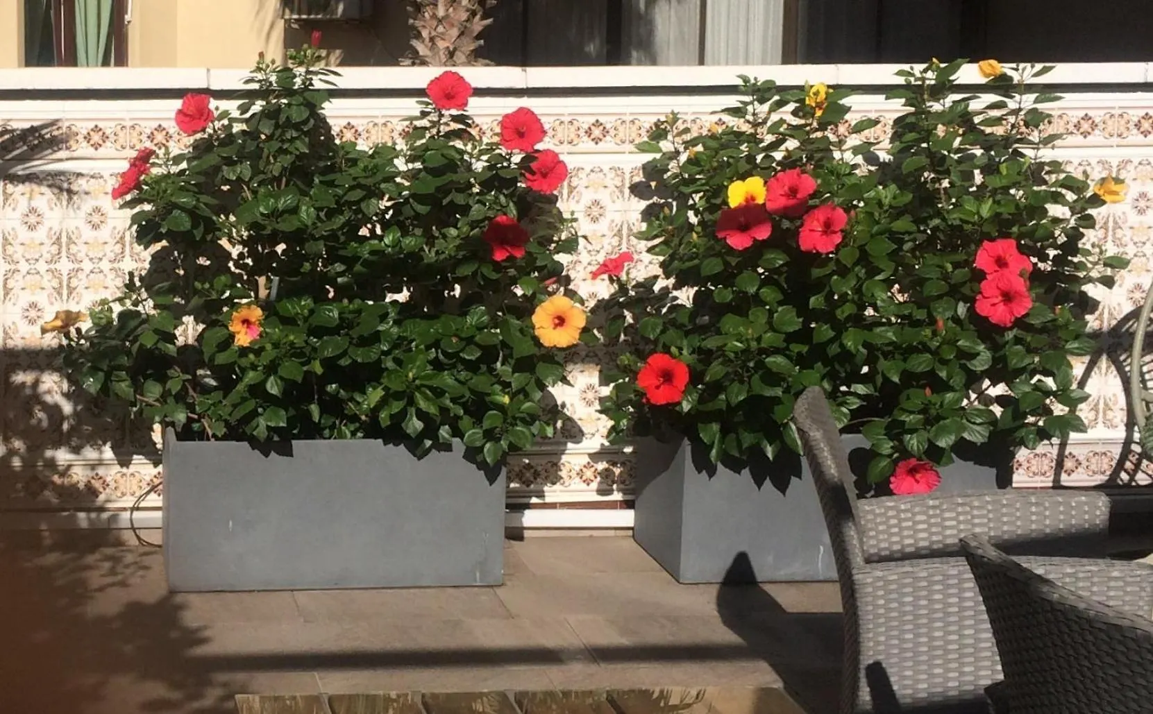 Holiday home Mediterranean Suite Malaga